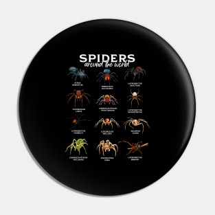 Spiders in the world - types of spiders Pin