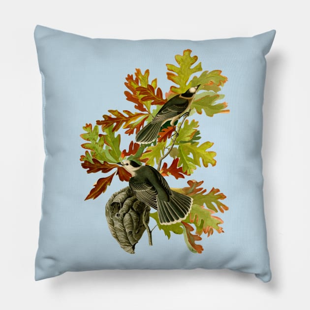 Audubons Canada Jays in White Oak Pillow by Dystopianpalace