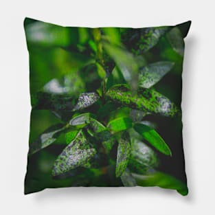 Green Leaves Pillow