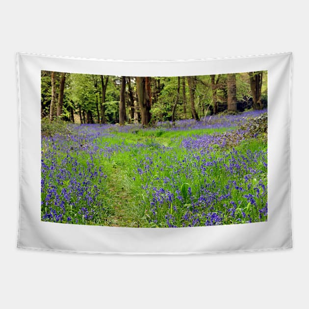 Bluebell Woods Basildon Park Berkshire UK Tapestry by AndyEvansPhotos