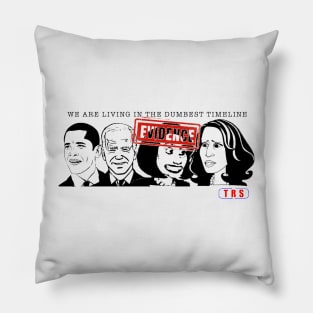 Evidence we’re living in the dumbest timeline Pillow