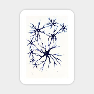 Neural network Magnet