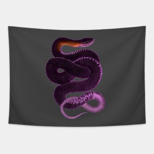 serpent,cobra,reptile,viper,venom,lizard,rattlesnake,king cobra,dragon,hydra,poison,venomous,plumber's snake,pythonidae,pythons,auger,python,squamata,serpentine,worm,big,ophidian,rattlesnakes,medusa,snakebite Tapestry