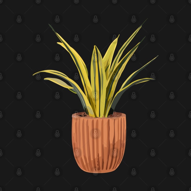 Dracaena plant | snake plant by gronly