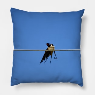 Tightrope Bird/ Swiss Artwork Photography Pillow