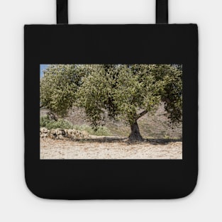 Orchard tree. Tote
