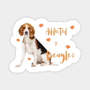 Addicted to Beagles! Magnet