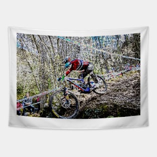 mtb downhill Tapestry