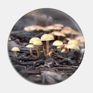 Mushroom Family Pin