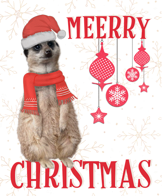 Merry Christmas (Meerry) - Meerkat in Christmas hat & scarf with snowflakes Kids T-Shirt by Off the Page