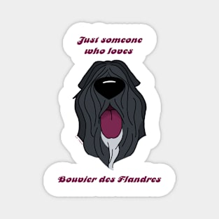 Someone who loves Bouvier des Flandres Magnet