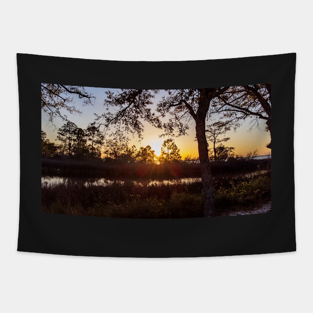 Sunsetting over Escambia Bay Tapestry by Ckauzmann