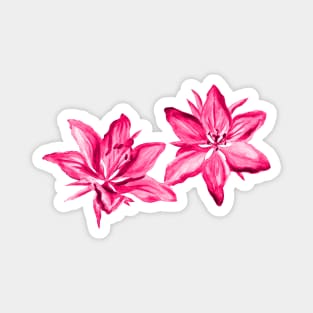 Pink Painted Watercolor Lilies Floral Magnet