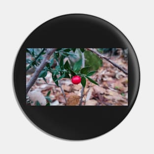 Red Forest Fruit Pin