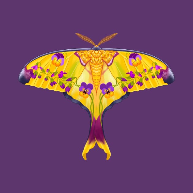 Violet Comet Moth by ChromaChamelea