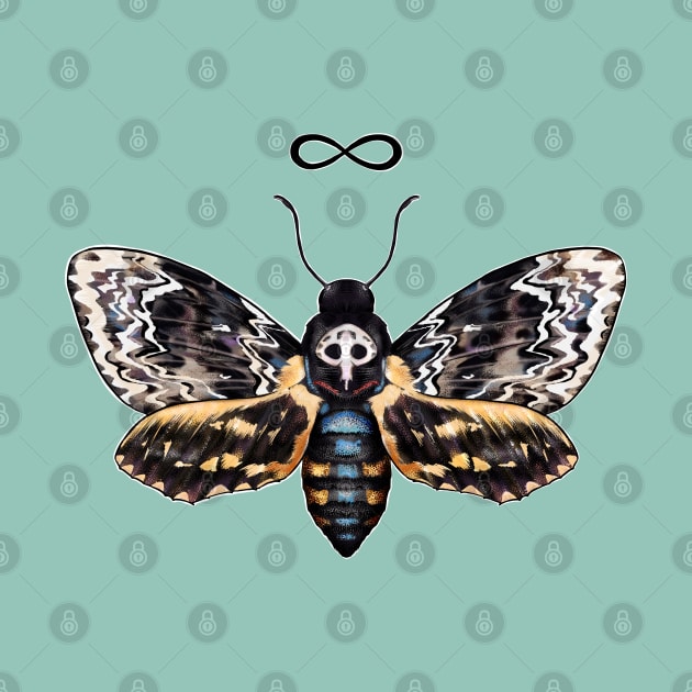 Death head hawk moth by Sitenkova