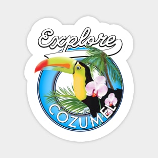 Explore Cozumel Travel patch Magnet