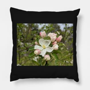 White and Pink Tree Flowers 2 Pillow