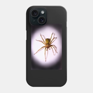 Intruder Phone Case