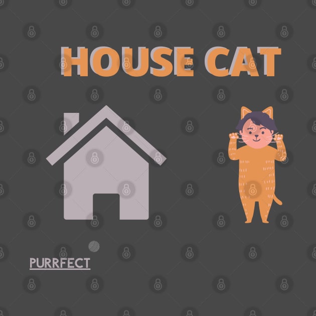 House Cat by dmangelo