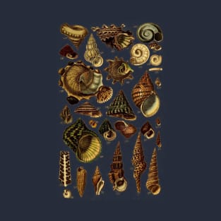 Antique Scientific Marine Biology Sea Shells T-Shirt