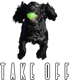 'Take off' funny black working cocker spaniel dog Magnet