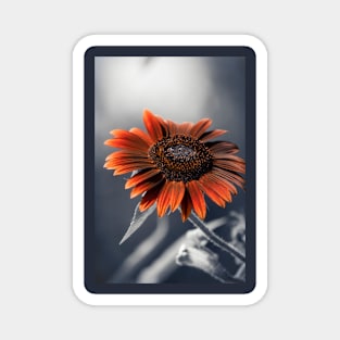 Dark Sunflower Magnet