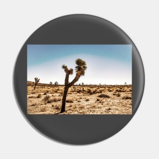 Joshua Tree National Park, California Pin