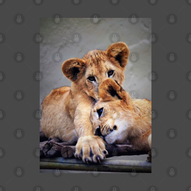 Lion Cubs by Fitra Design