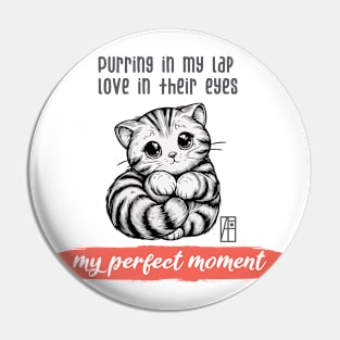 Purring in my lap, love in their eyes – my perfect moment - I Love my cat - 2 Pin