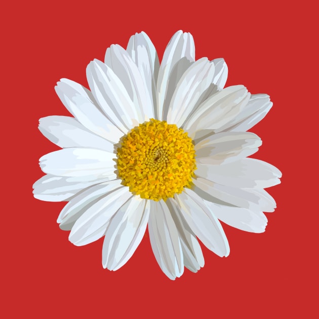 Marguerite on red by A_using_colors