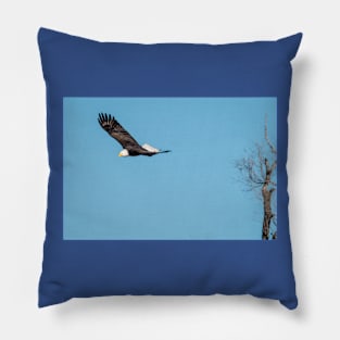 Bald Eagle In Flight by Debra Martz Pillow