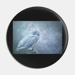 Snowy Owl in winter Pin