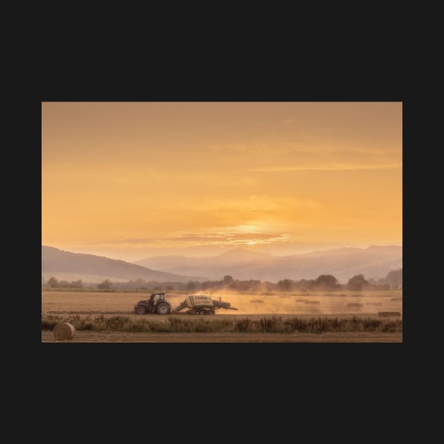 'Golden Harvest Haze', Logierait, near Pitlochry. by mucklepawprint