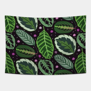 Maranta Tapestry