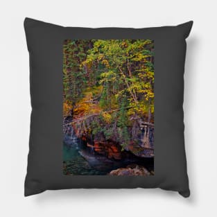 Canada. Canadian Rockies. Jasper NP. Maligne Canyon. Fall Colors. Pillow