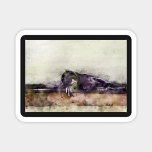 Spider monkey watercolour Magnet