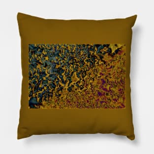 Colorful Lichen Pillow