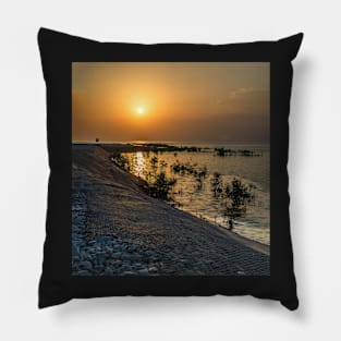 sunset panorama Pillow