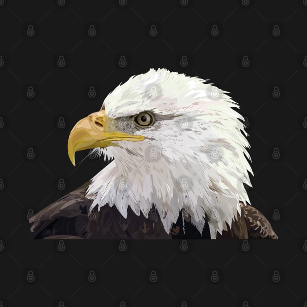 bald eagle by obscurite