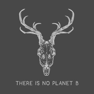 There Is No Planet B T-Shirt