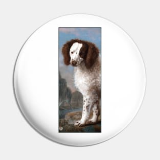 Water Spaniel on a hill by George Stubbs Pin