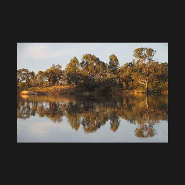 River Murray Reflections #2 by Carole-Anne