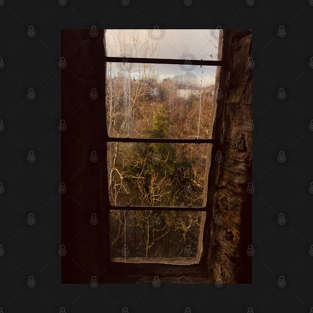 Durham Cathedral Window view by mywanderings