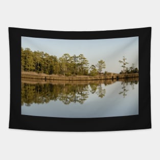 December Lake Reflections Tapestry