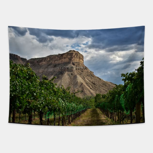 Colorado Wine Country Tapestry by ElevatedCT