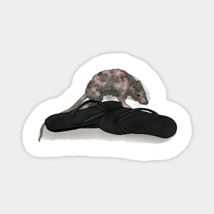 Rose's Rat - 90 day Fiance Magnet