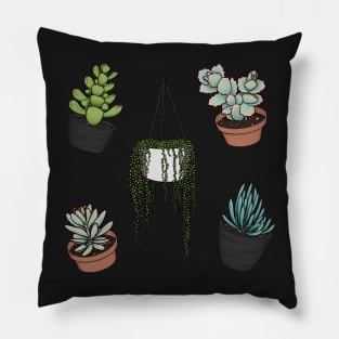 Cute Succulent Sticker Set 1 - Panda Plant, Bear Paws, Lavender Scallops, Blue Chalk Sticks, String of Pearls Pillow