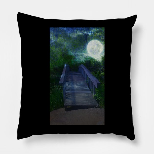 Bridge Pillow by teenamarie23art