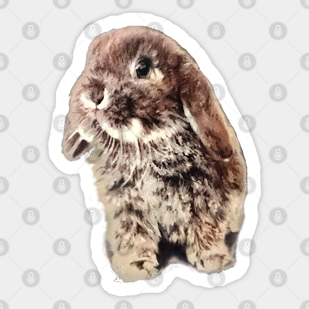 Who can resist a baby bunny? - Bunny - Sticker